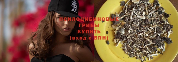 сатива Алзамай