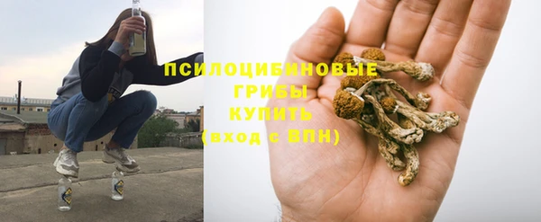 экстази Алексеевка