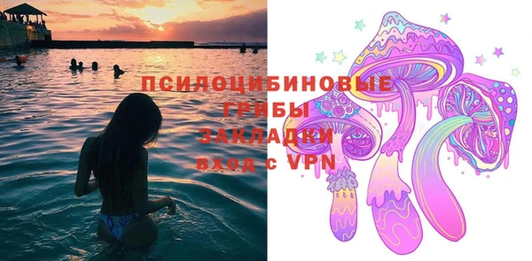 сатива Алзамай