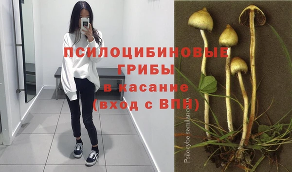 экстази Алексеевка
