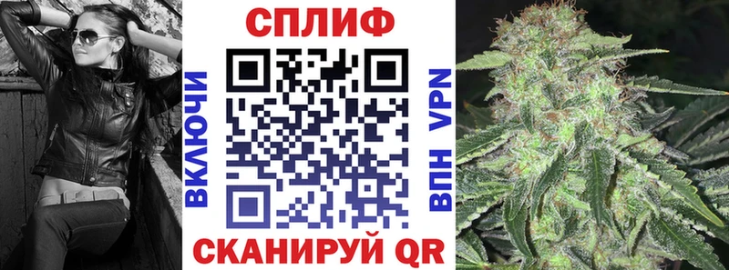 ссылка на мегу зеркало  Шатура  Бошки марихуана SATIVA & INDICA 